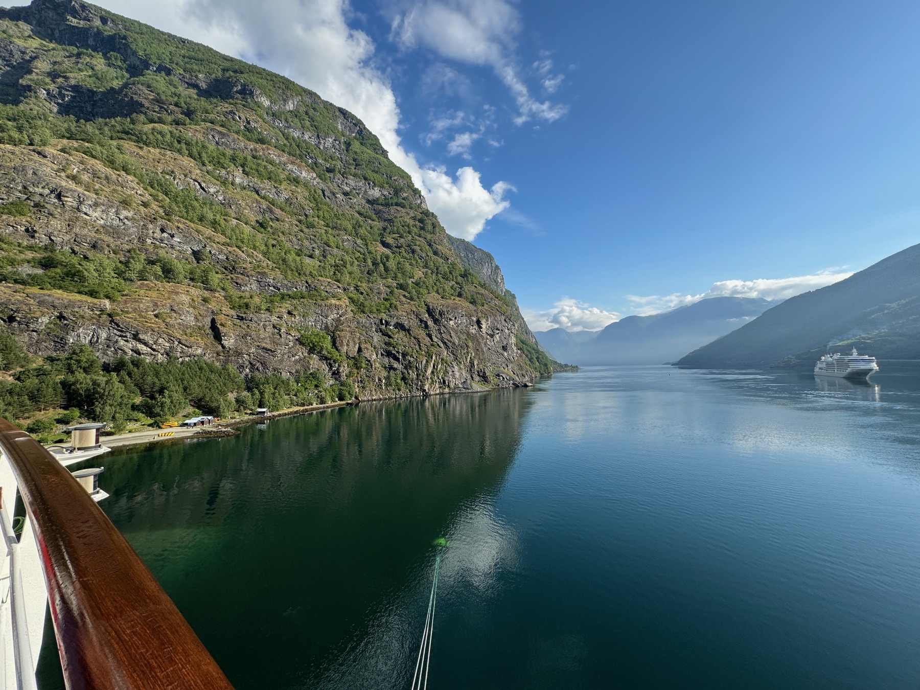 A cruise ship sailing through a Norwegian fjord