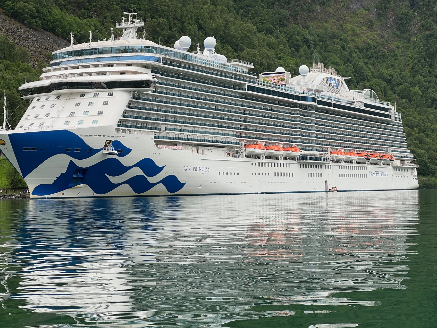 Princess cruise ship sailing through a Norwegian fjord